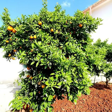 펜션 Casa Encosta Do Sol - Sargacal -