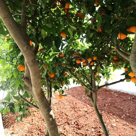 Casa Encosta Do Sol - Sargacal - * 라고스